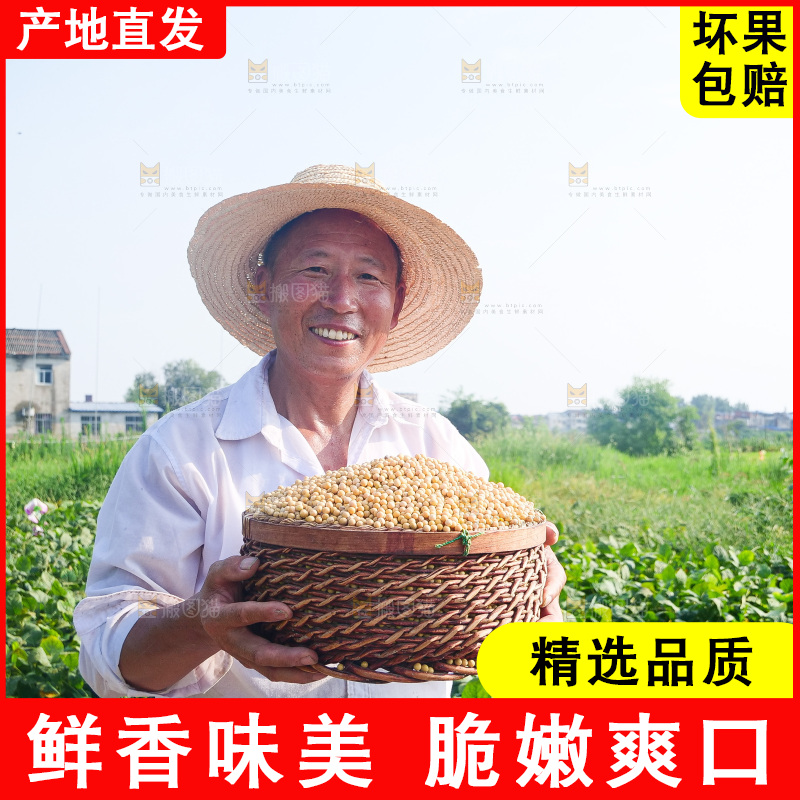 手里拿着黄豆