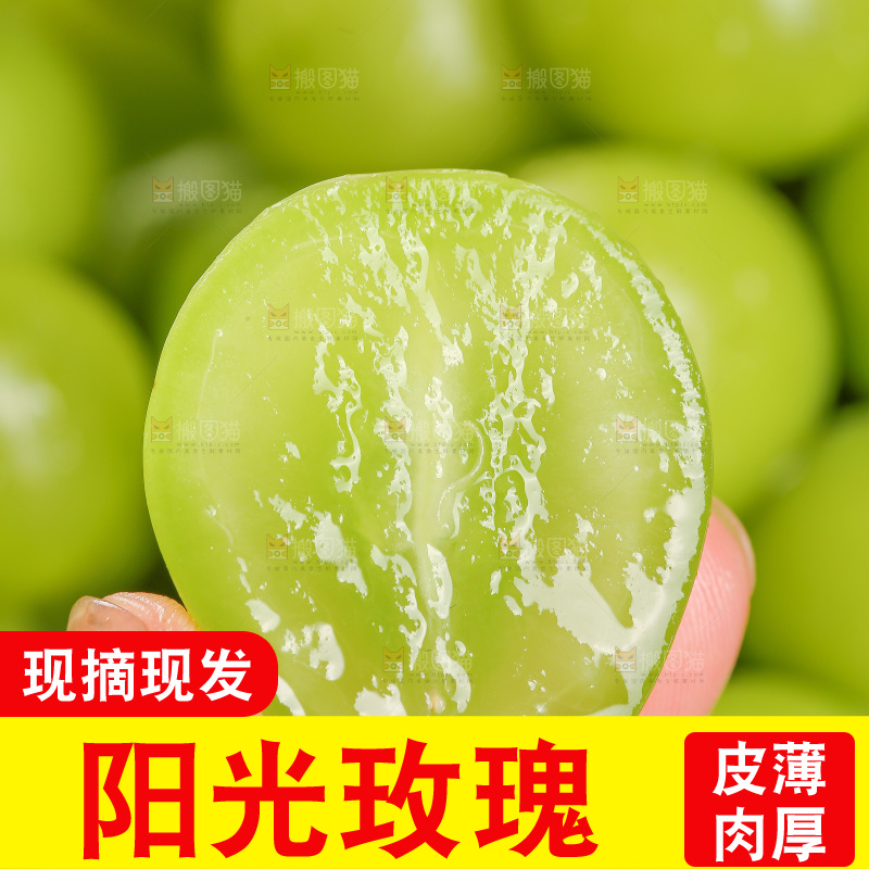 浅底上的阳光玫瑰青提