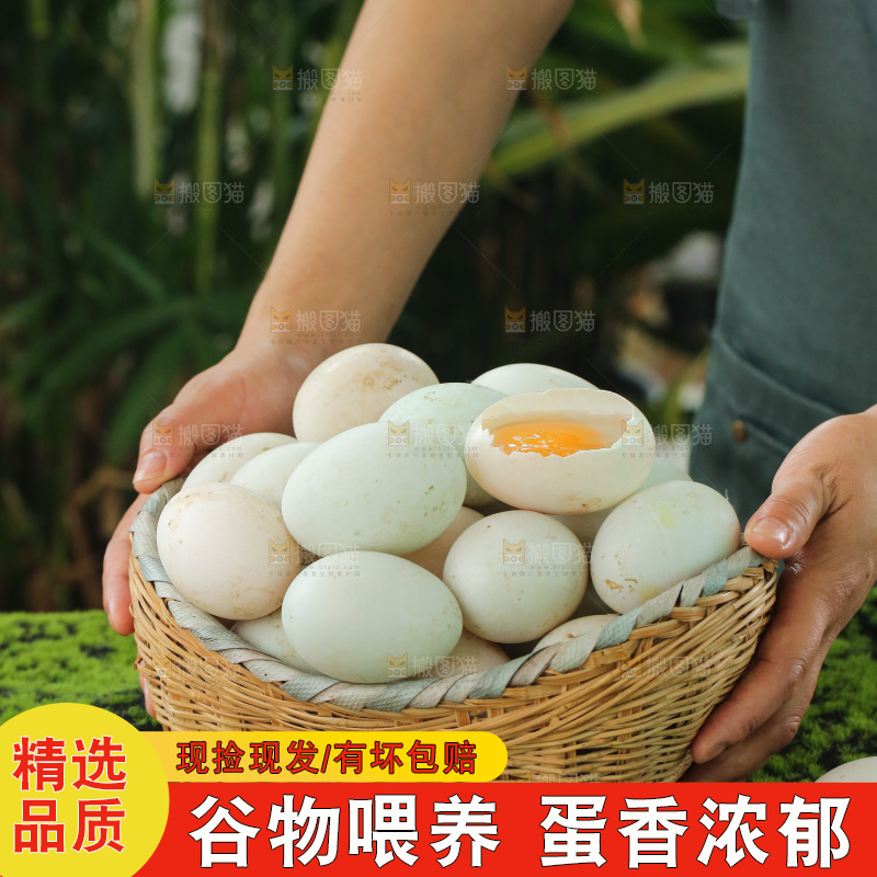 深底上的鸭蛋