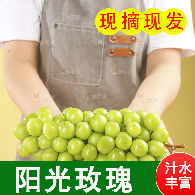 浅底上的阳光玫瑰青提