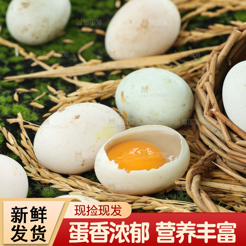 深底上的鸭蛋
