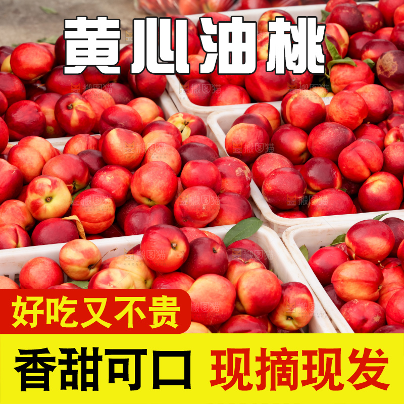 现摘的新鲜黄心油桃