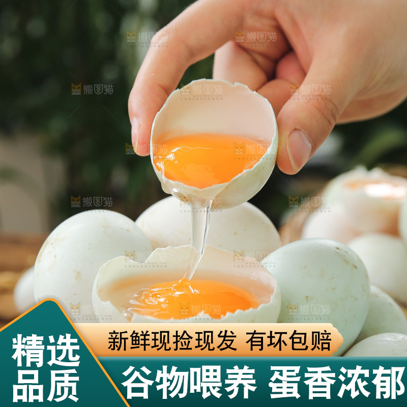 深底上的鸭蛋