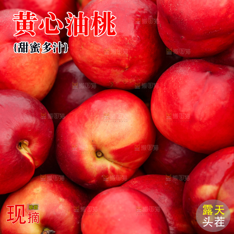 现摘的新鲜黄心油桃