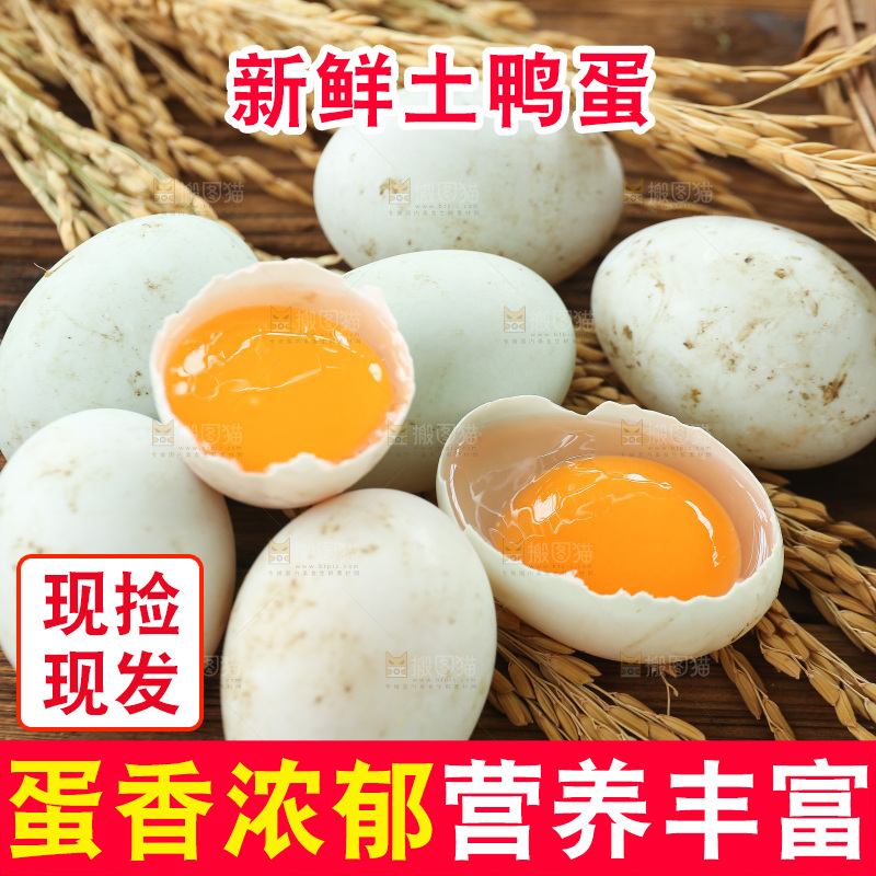 深底上的鸭蛋