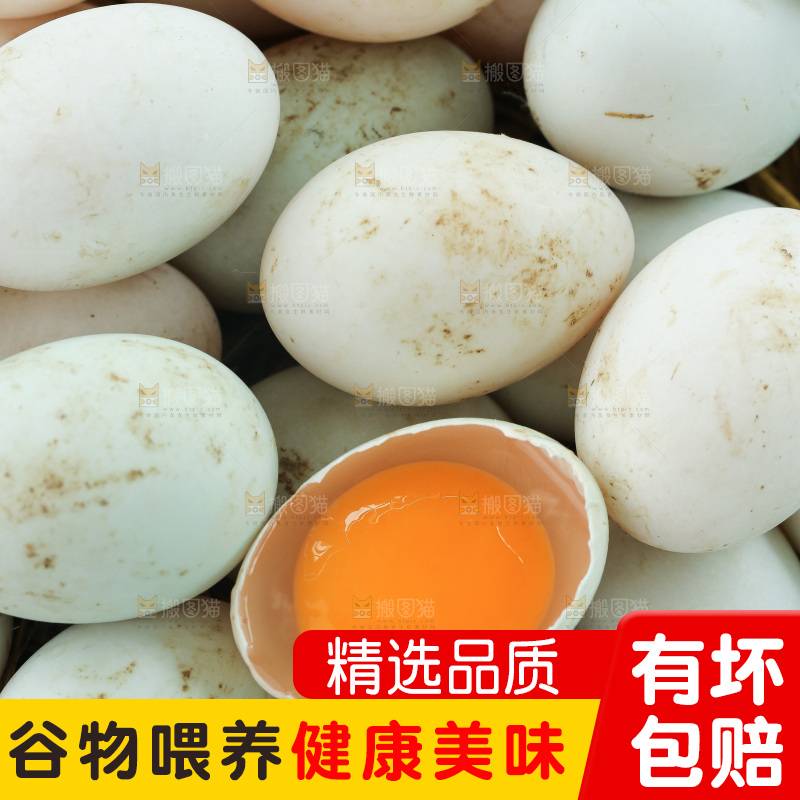 深底上的鸭蛋