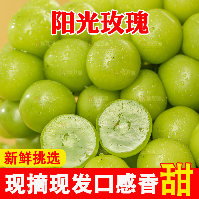 浅底上的阳光玫瑰青提