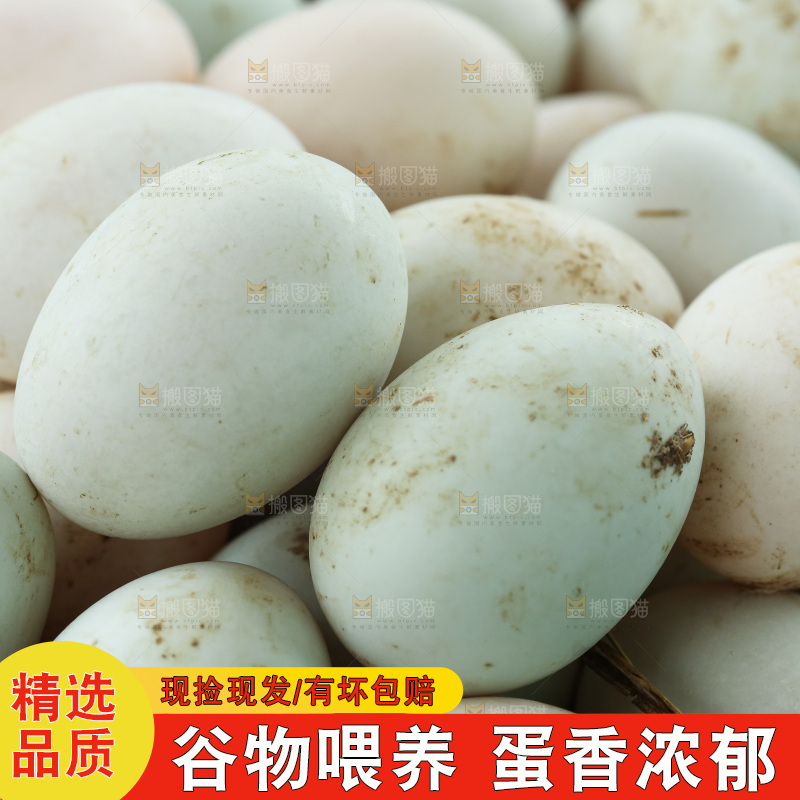深底上的鸭蛋