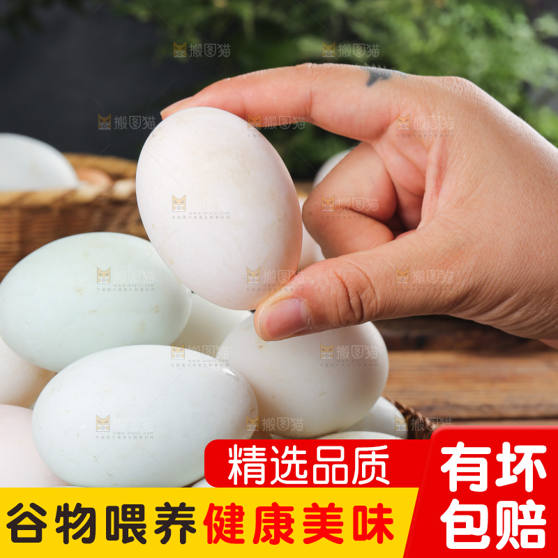 深底上的鸭蛋