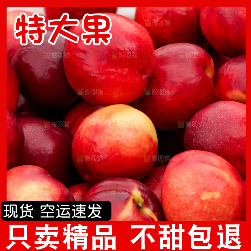 现摘的新鲜黄心油桃