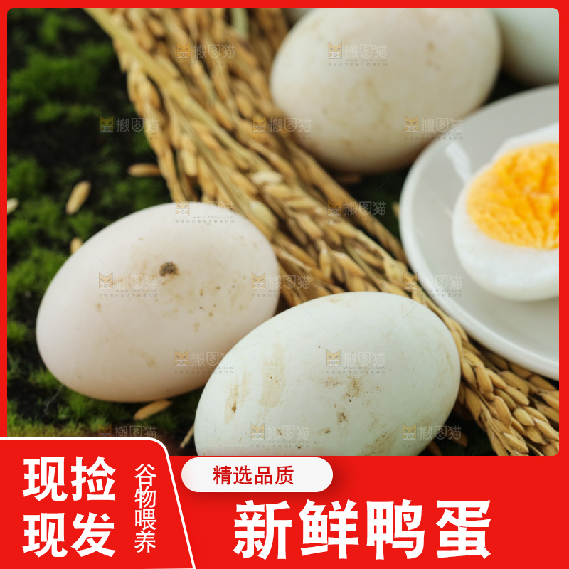深底上的鸭蛋