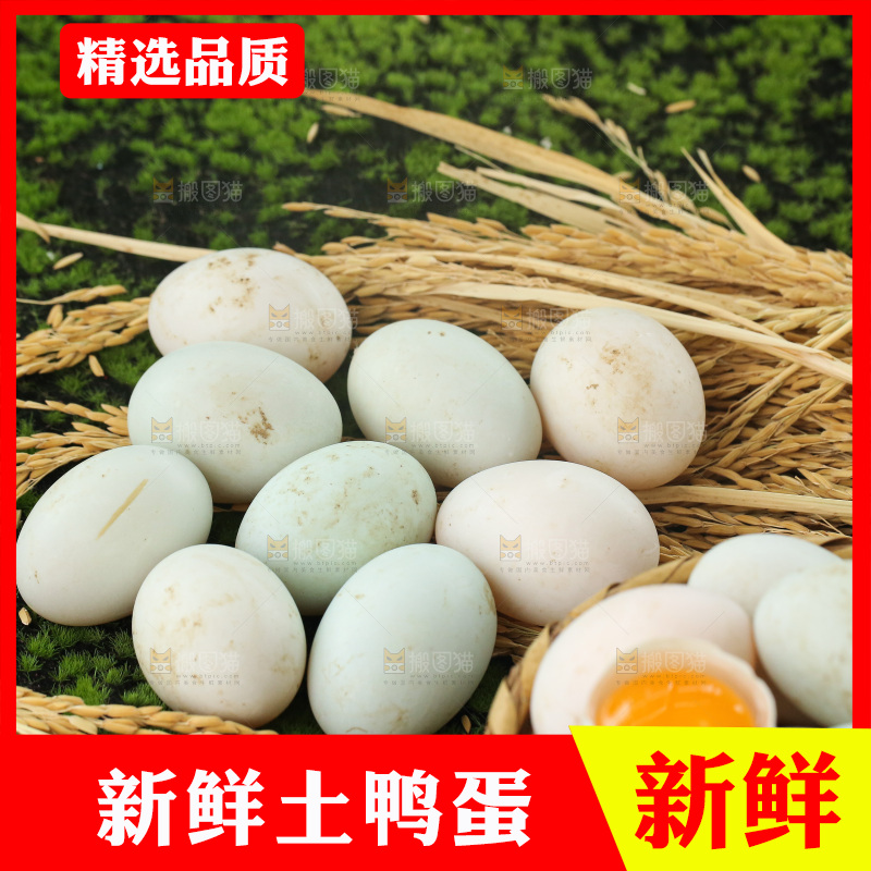 深底上的鸭蛋