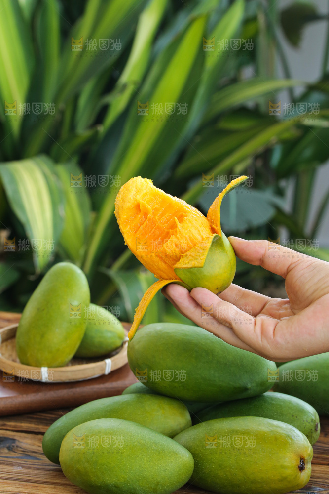 手里拿着椰香芒