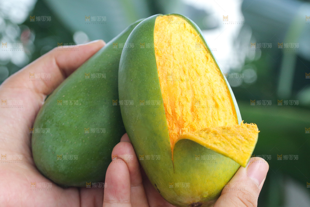 手里拿着椰香芒