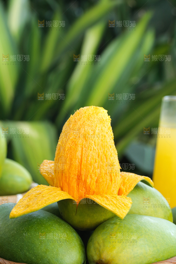 深底上的椰香芒