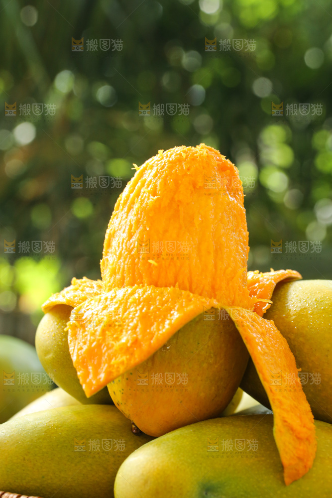 深底上的椰香芒