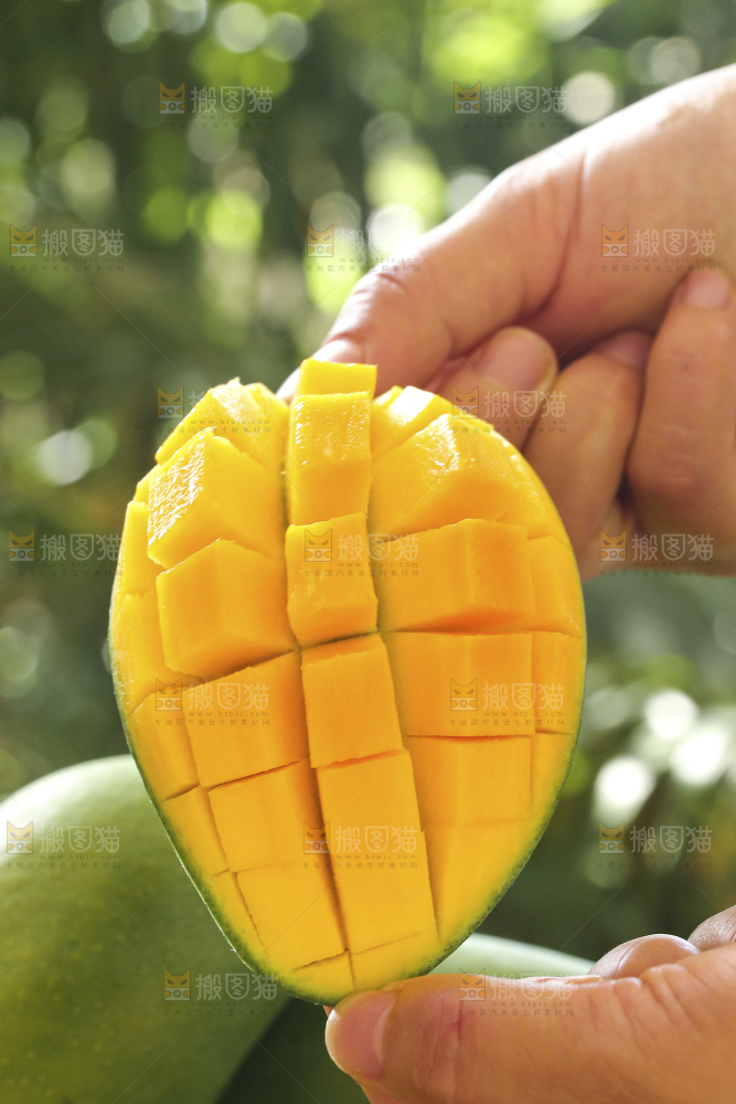 手里拿着椰香芒