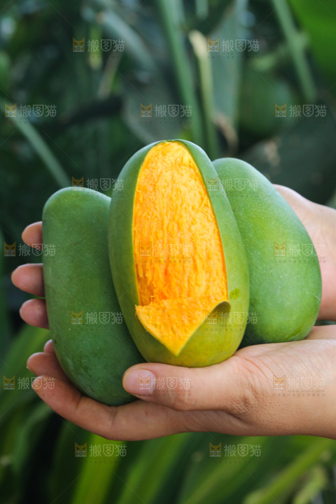 手里拿着椰香芒