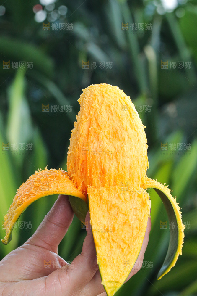 手里拿着椰香芒