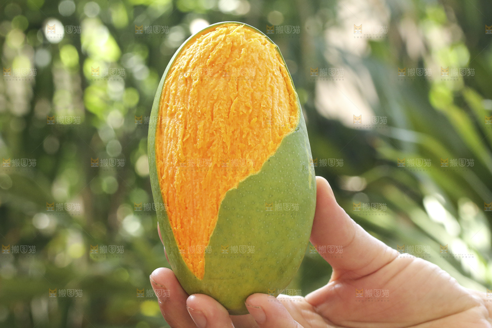 手里拿着椰香芒