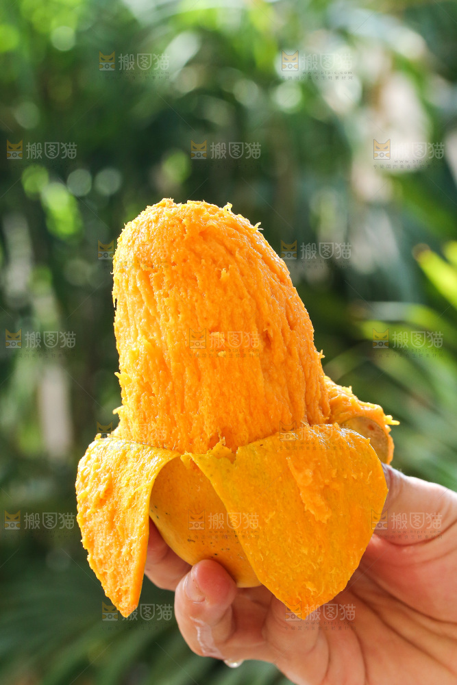手里拿着椰香芒