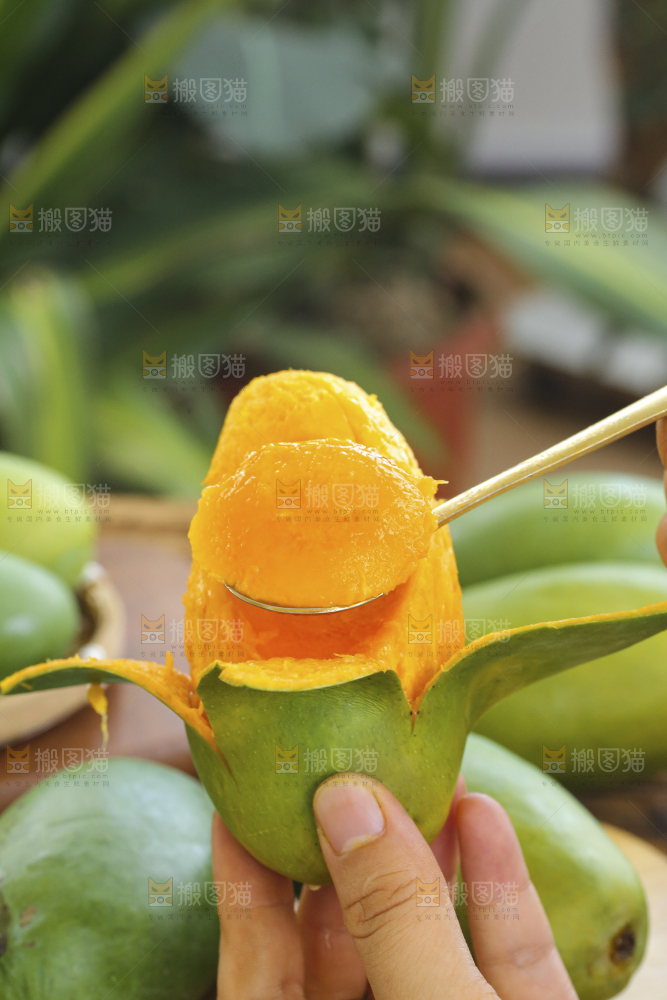 深底上的椰香芒