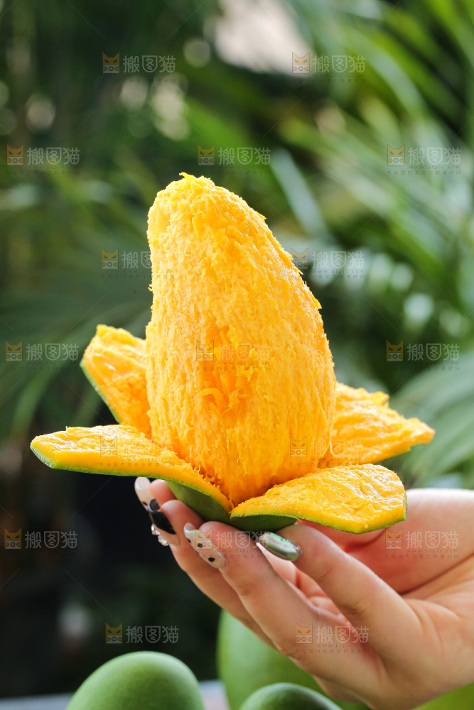 深底上的椰香芒
