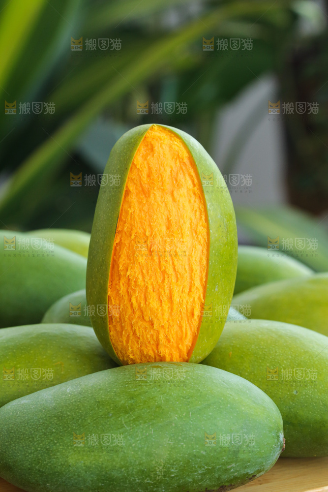 深底上的椰香芒