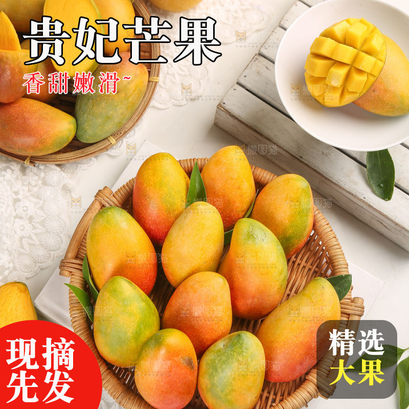 浅底上的贵妃芒