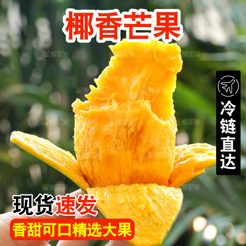 深底上的椰香芒