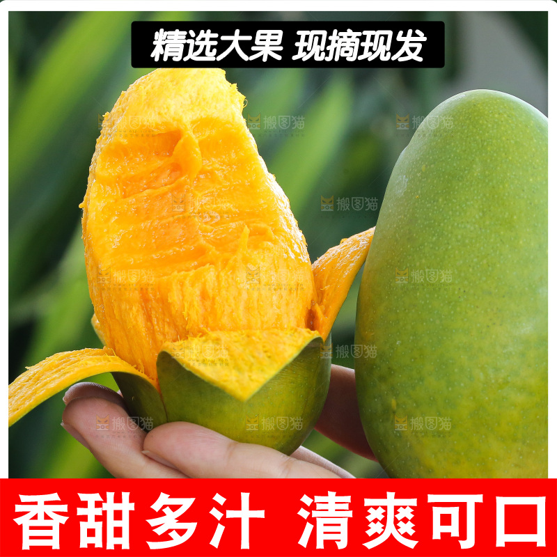 手里拿着椰香芒