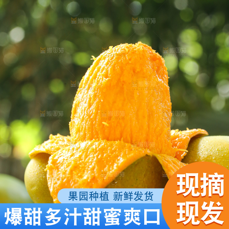深底上的椰香芒