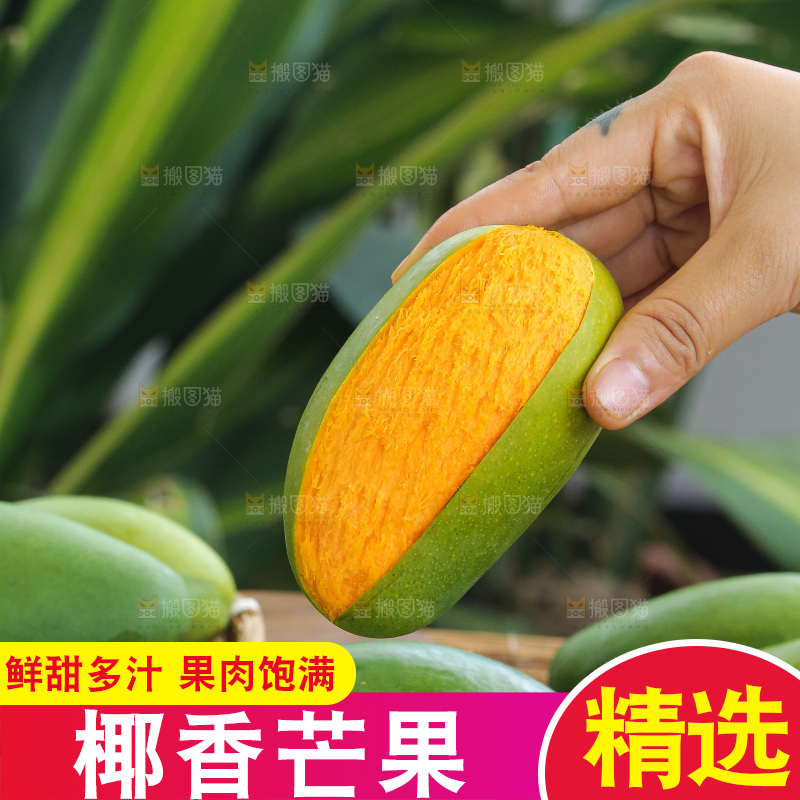 手里拿着椰香芒