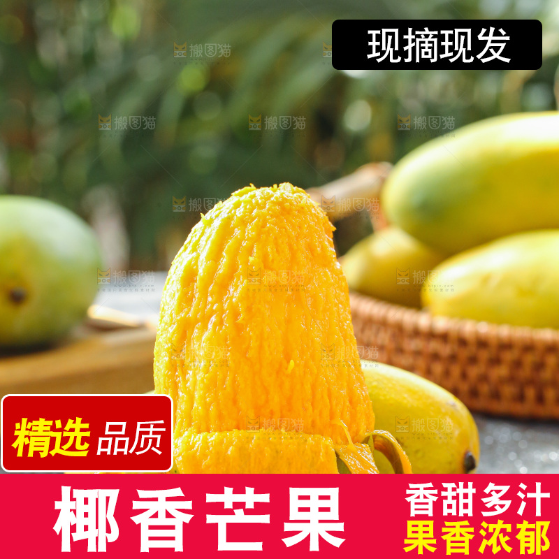 深底上的椰香芒