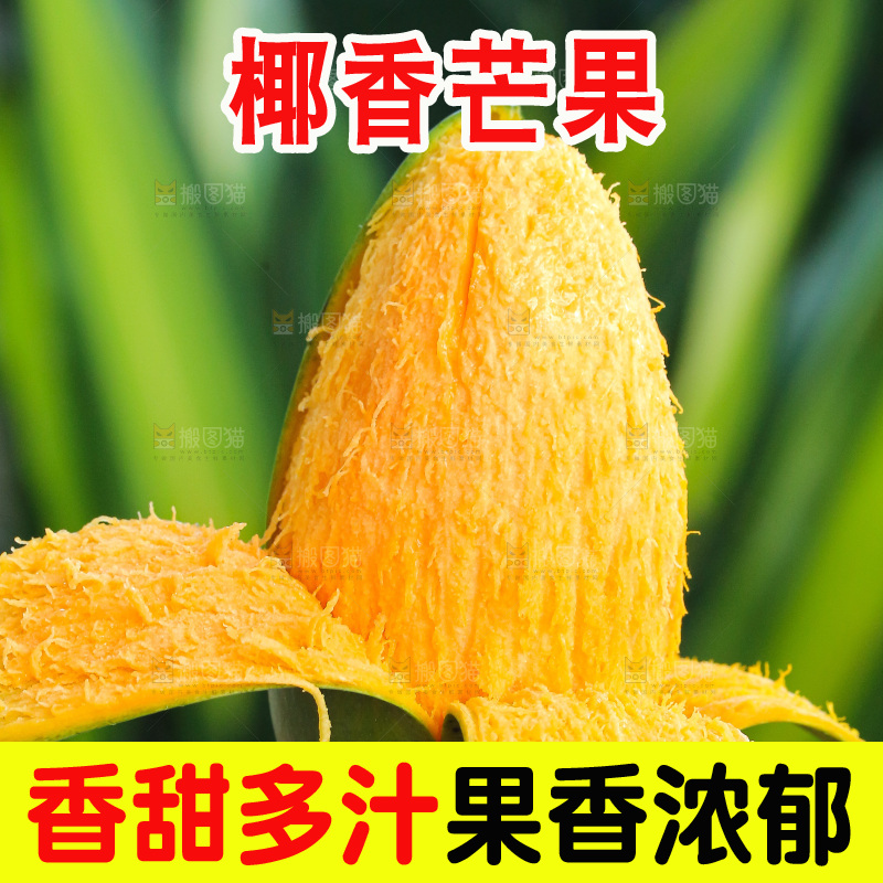 手里拿着椰香芒