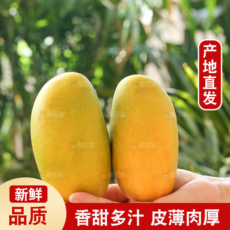 手里拿着椰香芒