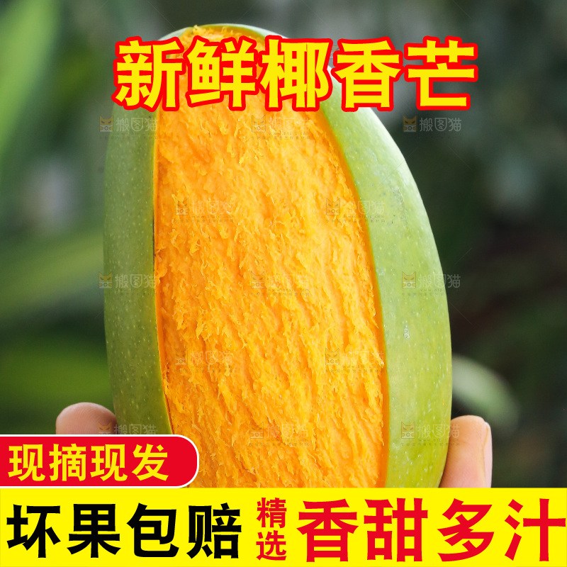手里拿着椰香芒