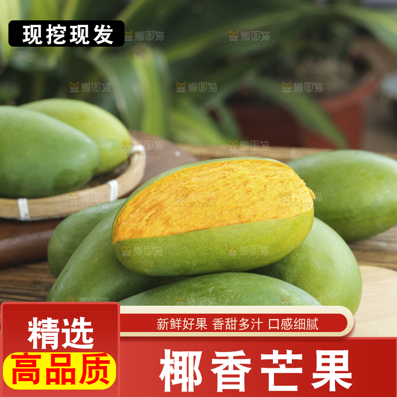 深底上的椰香芒