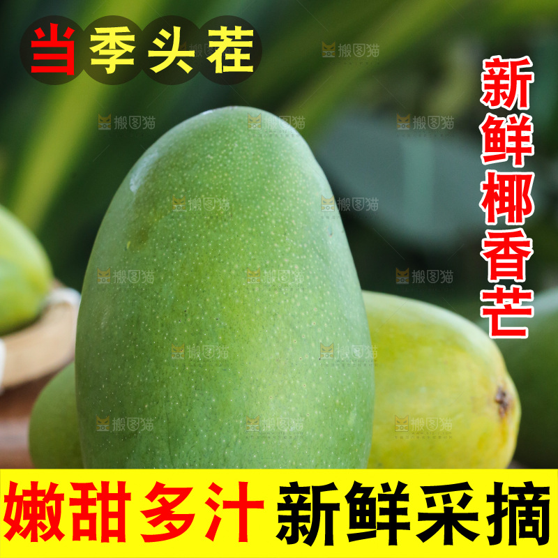 深底上的椰香芒