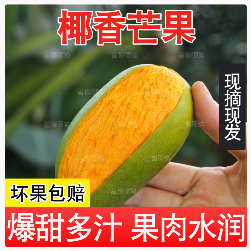 手里拿着椰香芒