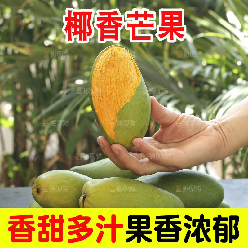 手里拿着椰香芒