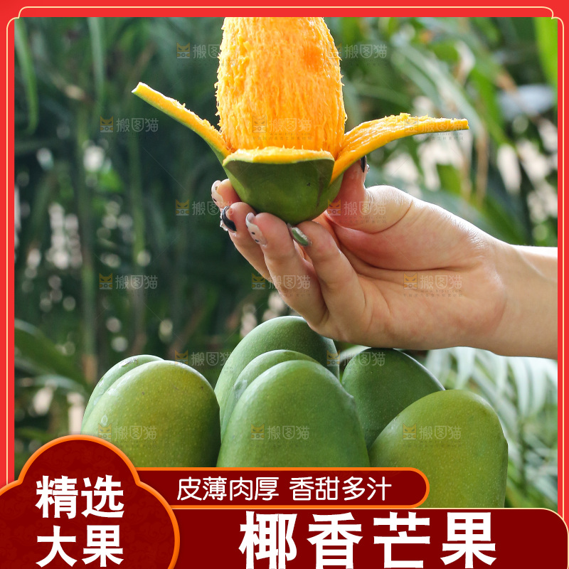 深底上的椰香芒