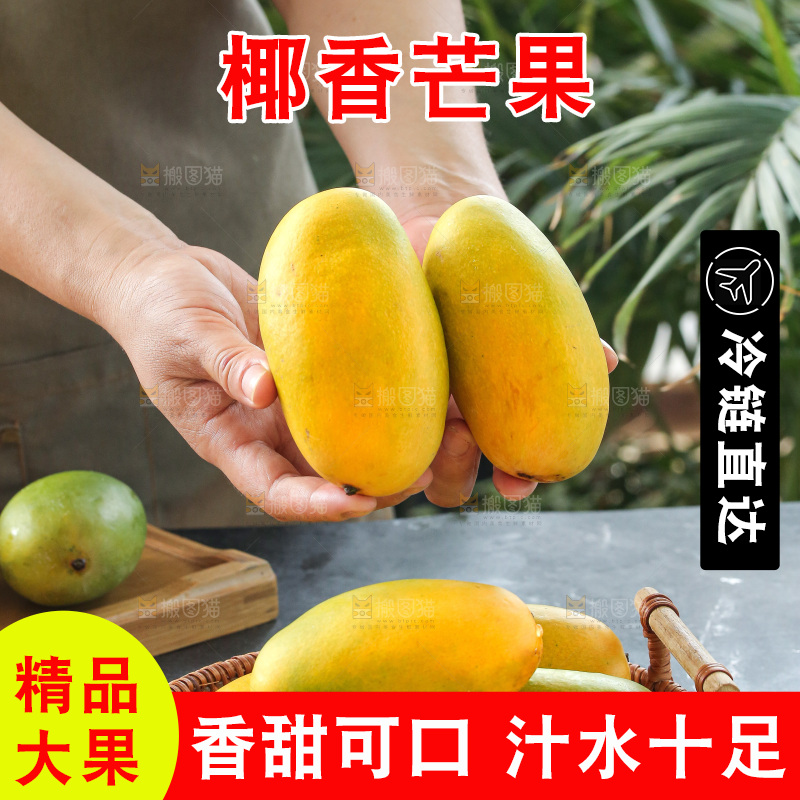 手里拿着椰香芒