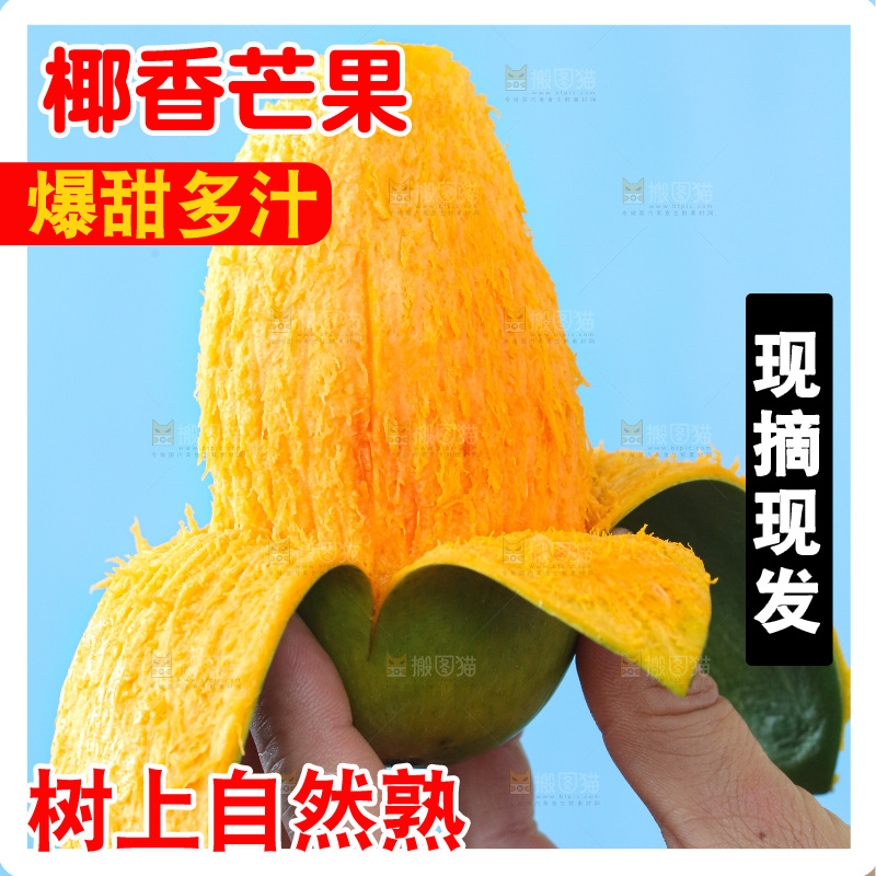 手里拿着椰香芒
