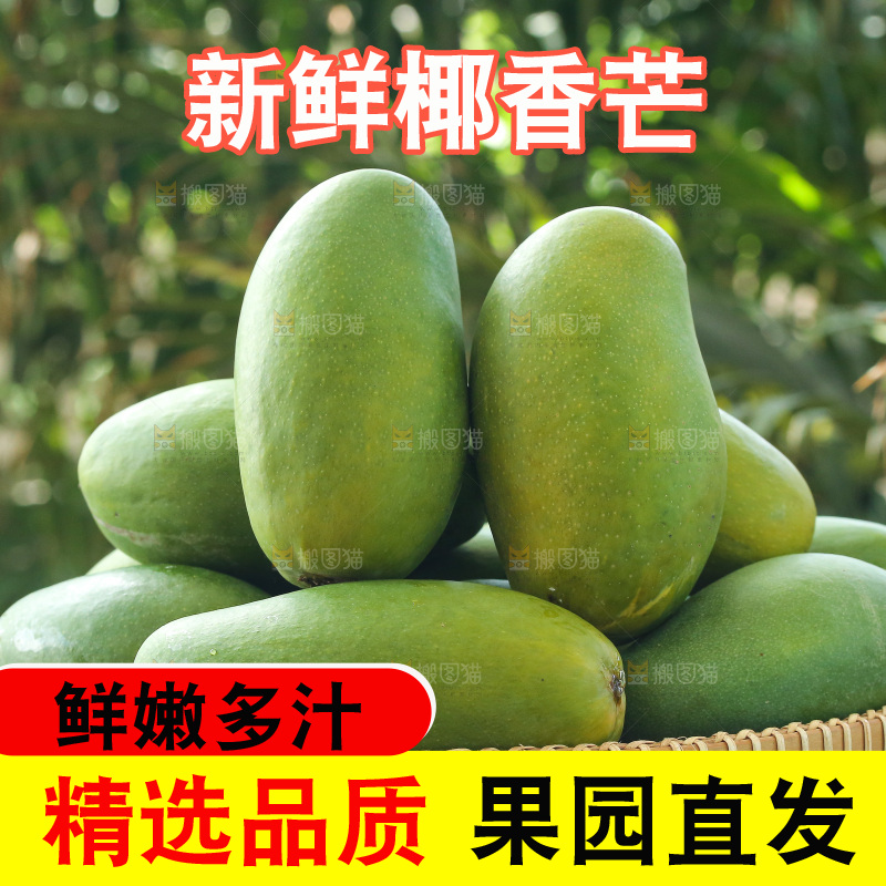 深底上的椰香芒
