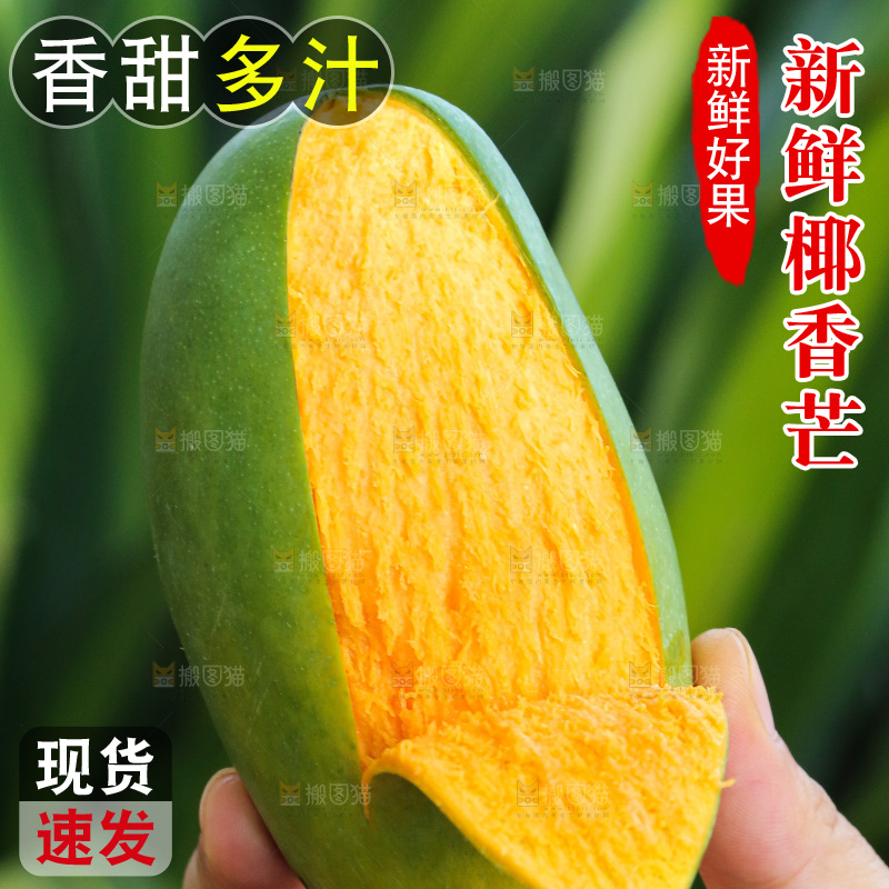 手里拿着椰香芒