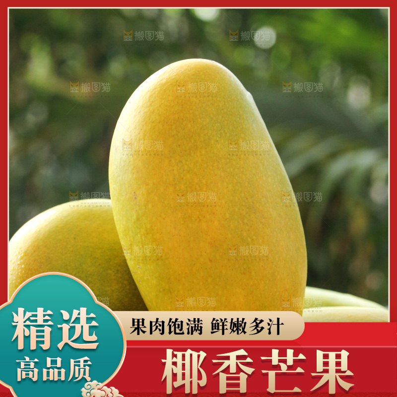 深底上的椰香芒
