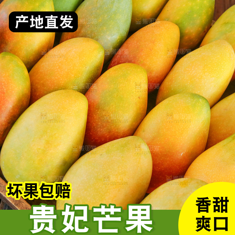 深底上的贵妃芒