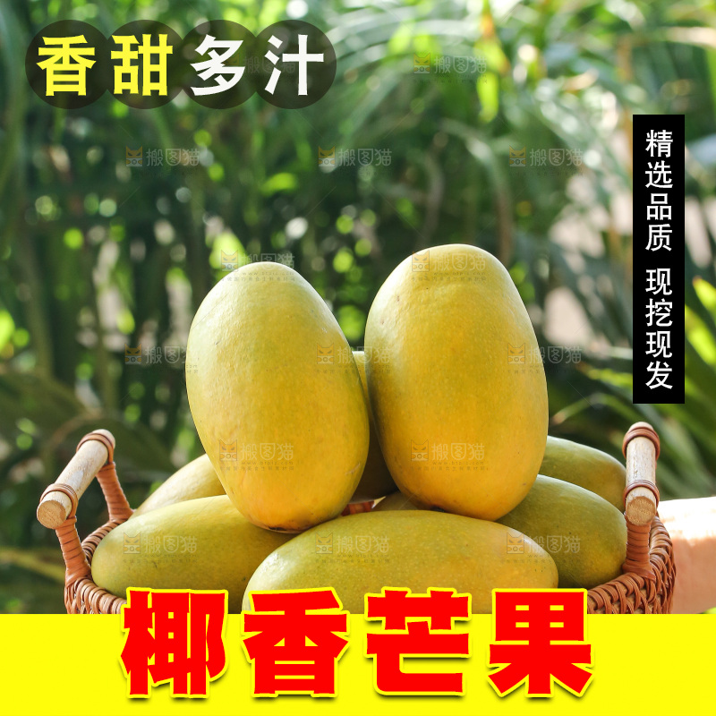 手里拿着椰香芒