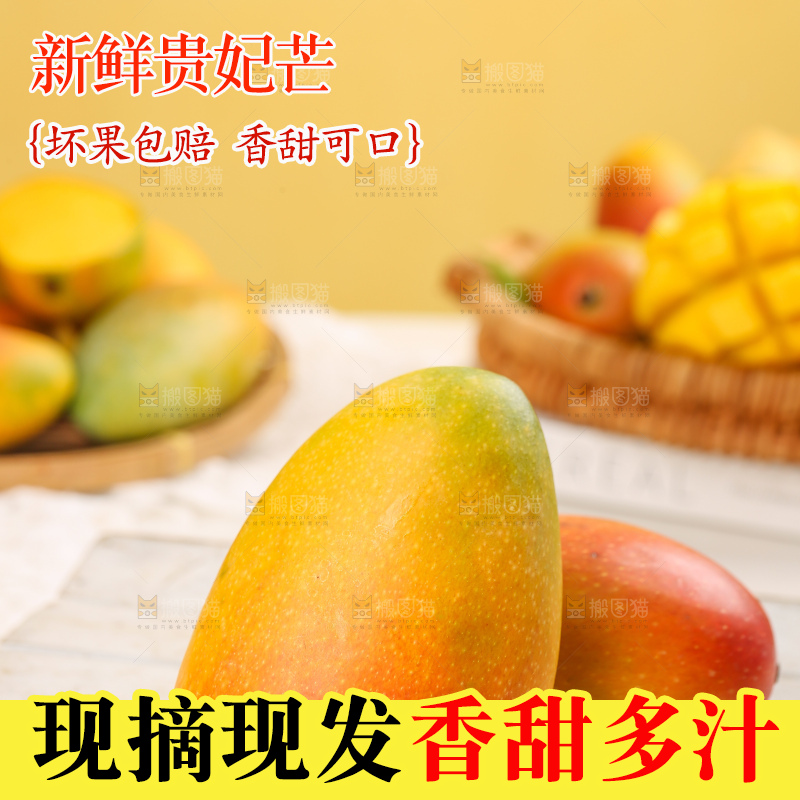浅底上的贵妃芒